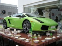 Tea time pour la Lamborghini Gallardo éléphant vert !