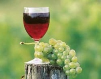 Vins de Bordeaux : les moteurs ivres de carburant vert !