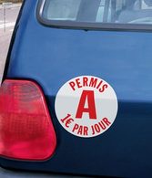 Le permis à 1 € par jour : enfin un permis pour tous ?