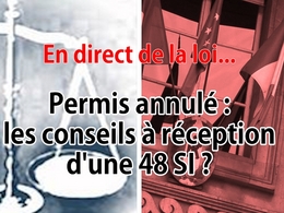 En direct de la loi - Permis annulé : quels conseils à réception d'une 48 SI ?