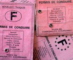 Le permis probatoire : la chasse aux points