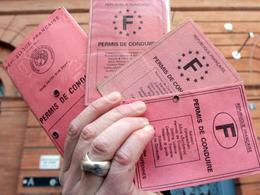 Interpellations en Île de France pour fraude au permis de conduire