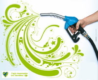 Salon Ecomobile de Lyon : Carrefour présente sa démarche écolo en matière de carburant