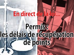 En direct de la loi - Permis : quels sont les délais pour récupérer des points ?