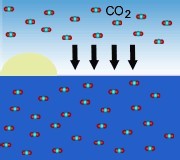 Etude anglaise : les océans absorbent nettement moins de C02 qu'avant