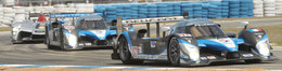 Deux Peugeot 908 HDI FAP à Petit Le Mans!