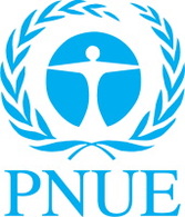 Biocarburant et recyclage : le PNUE a créé et lancé un groupe international de gestion des ressources durables