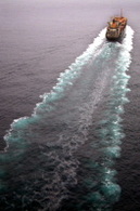Commission européenne : après la pollution auto, la pollution maritime dans le collimateur