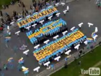 Renault F1 Team champion en vidéo !